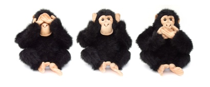 three-monkeys-1239552
